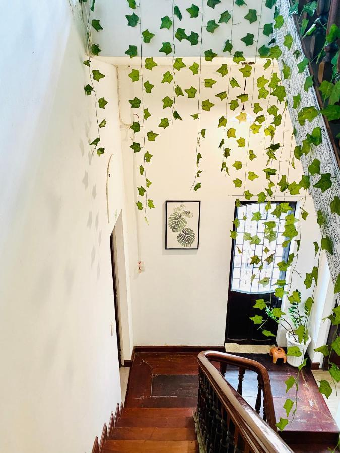 Tabi Homestay Хуе Екстериор снимка